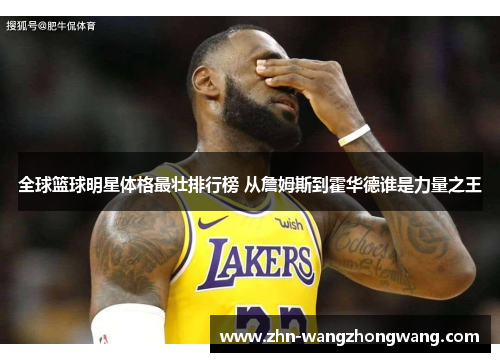 全球篮球明星体格最壮排行榜 从詹姆斯到霍华德谁是力量之王