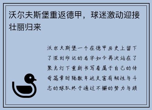 沃尔夫斯堡重返德甲，球迷激动迎接壮丽归来